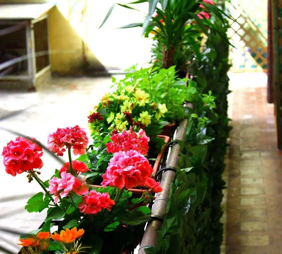 Legend R.G. Hostel Rome